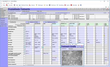 Screenshot aus der Laborinformations-Software THE DRUID - Produkttest Stabilitätsprüfung